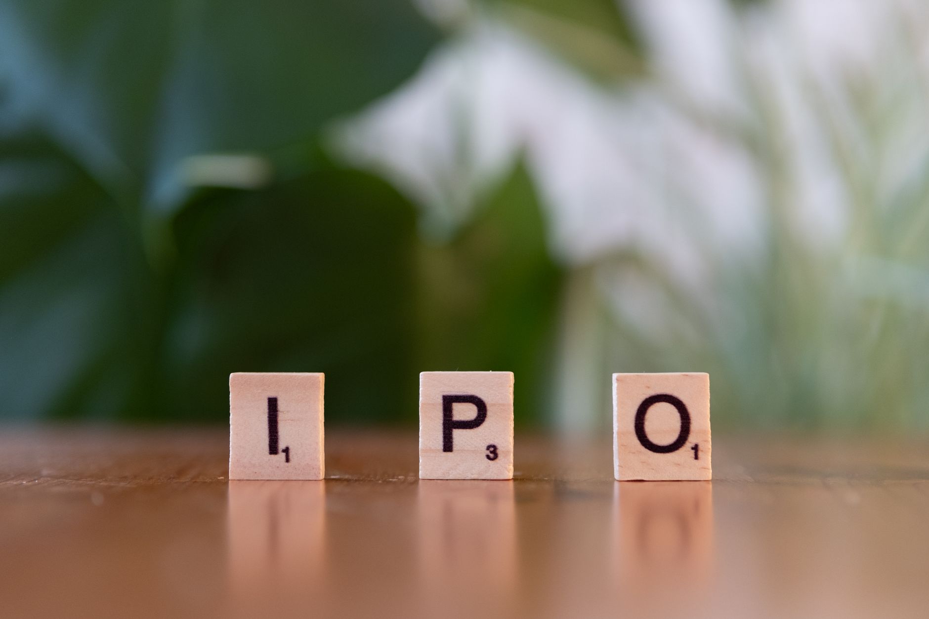 ESDS Software IPO: Best Proven Guide for Investors