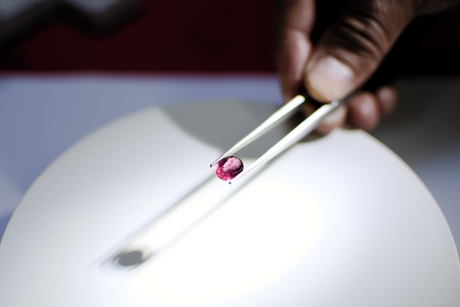 Nityas Gems IPO: Worth the 9% Premium on Listing?