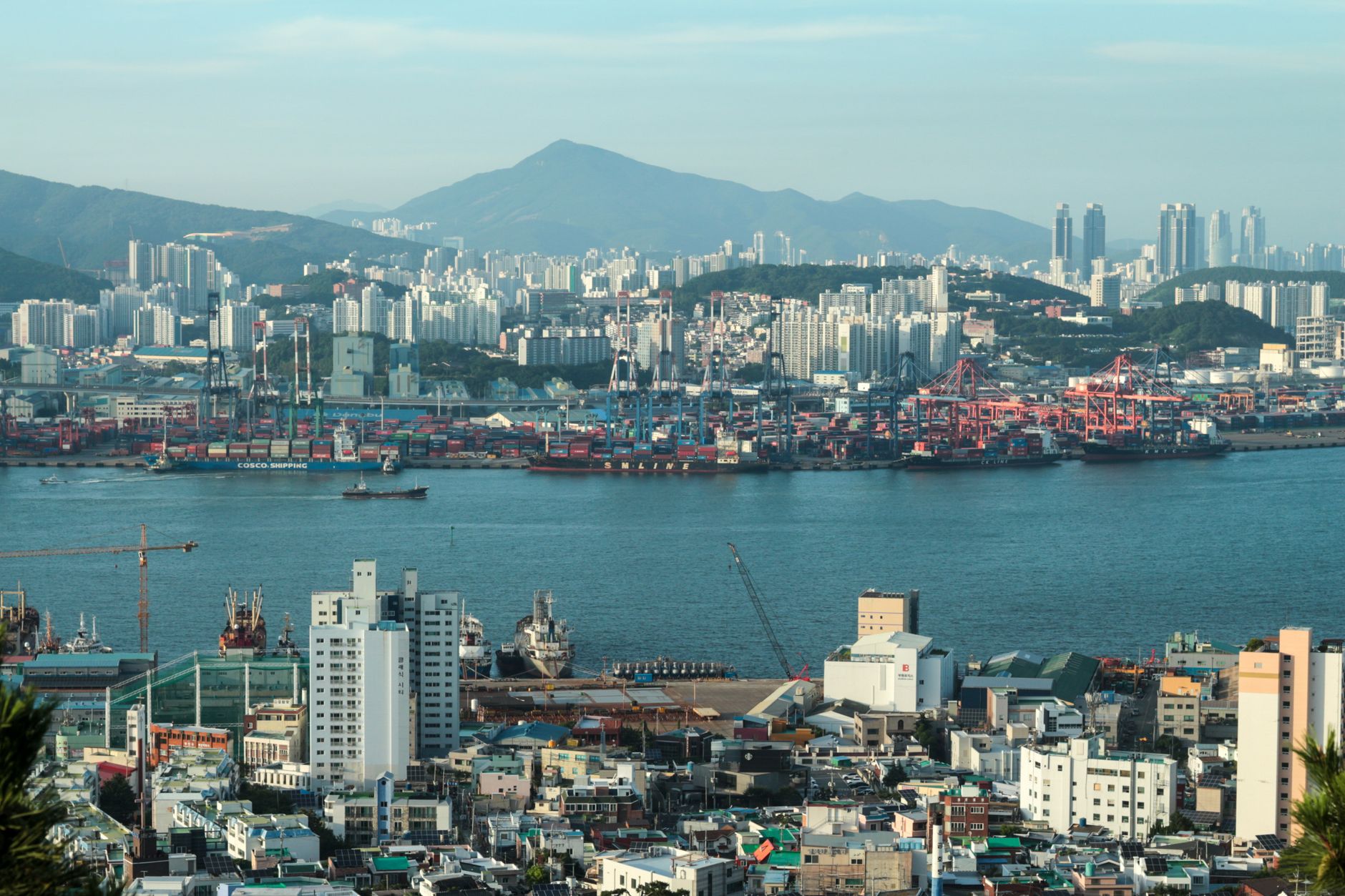 South Korea trading halt: Worst KOSPI slump in history